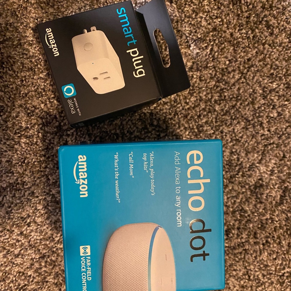 Echo Dot and Smart plug